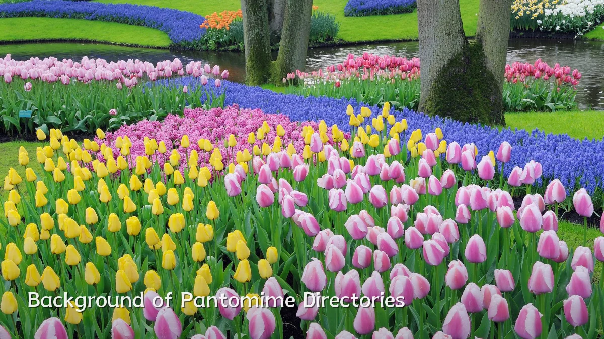 Background of Pantomime Directories
