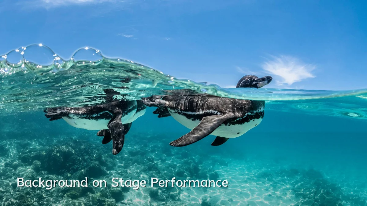 Background on Stage Performance