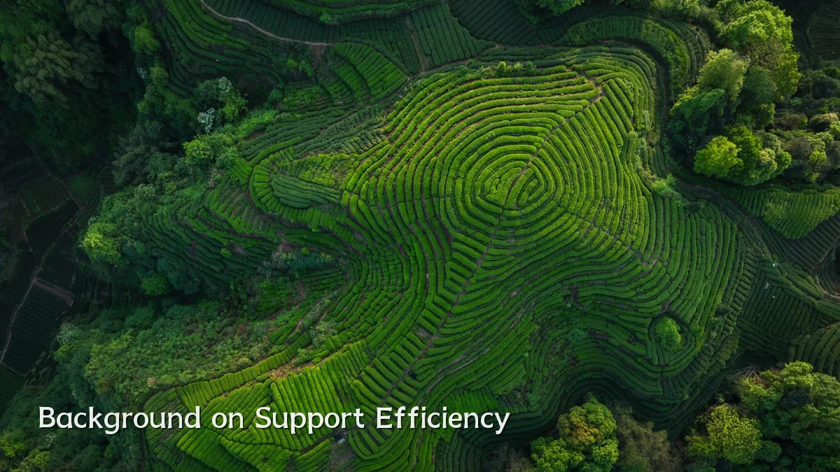 Background on Support Efficiency