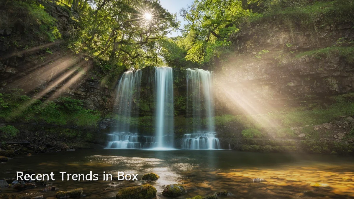 Recent Trends in Box