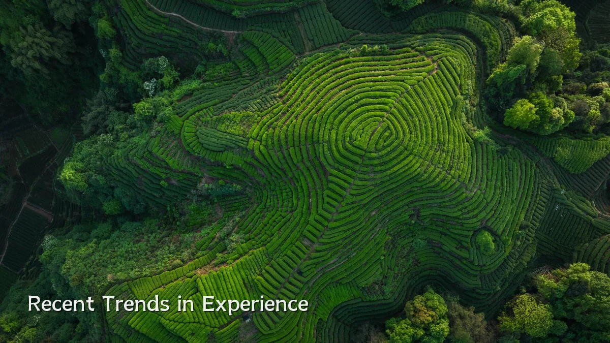 Recent Trends in Experience
