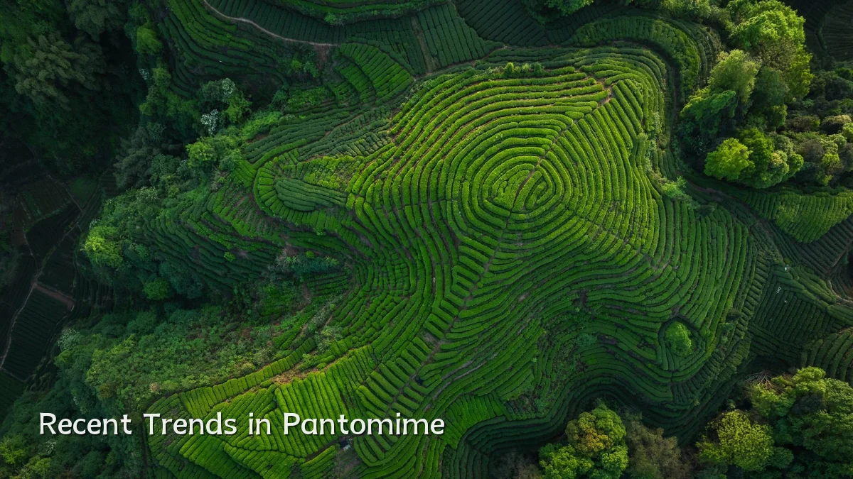 Recent Trends in Pantomime