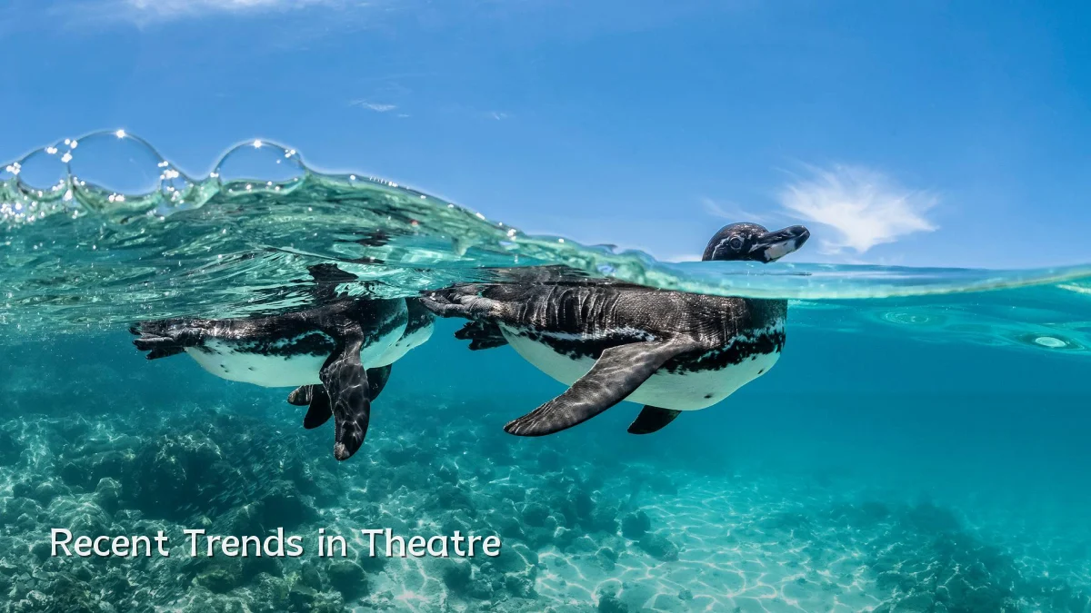 Recent Trends in Theatre