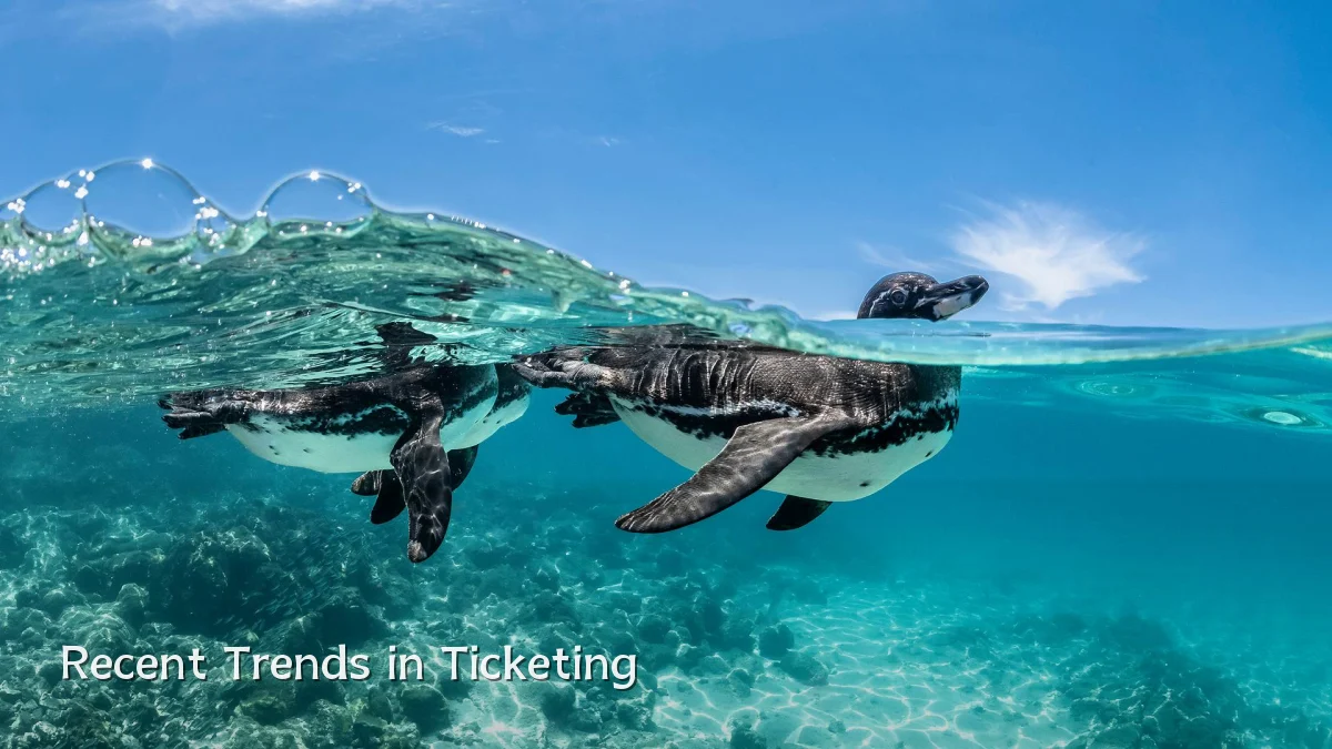 Recent Trends in Ticketing
